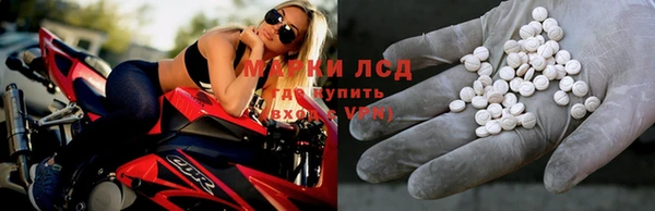 ГАЛЛЮЦИНОГЕННЫЕ ГРИБЫ Елизово