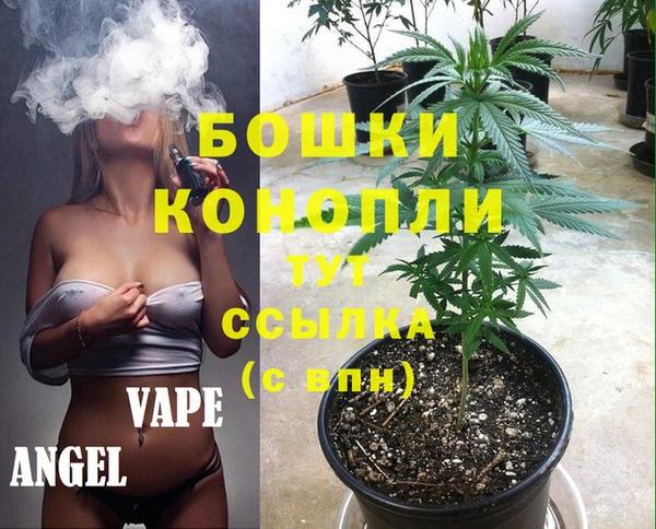 ГАЛЛЮЦИНОГЕННЫЕ ГРИБЫ Елизово