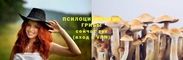 прущая мука Ельня