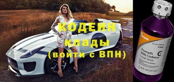прущая мука Ельня