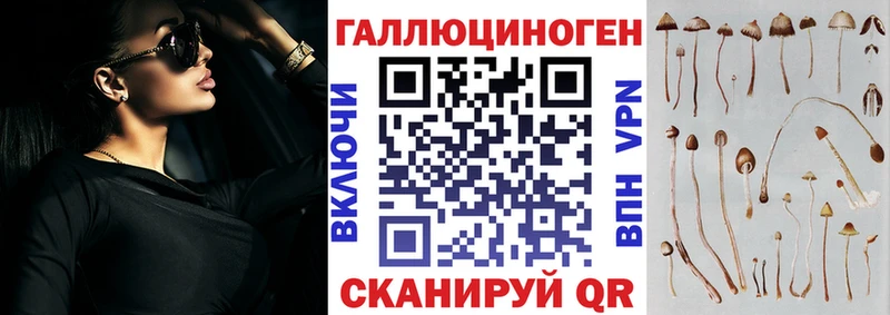 мега сайт  где купить наркоту  Рошаль  Псилоцибиновые грибы Psilocybine cubensis 